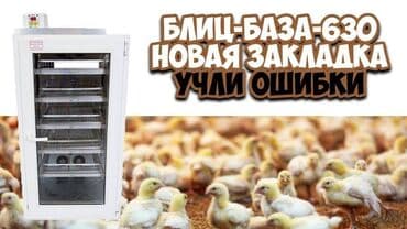 корм для форел: Фермерский инкубатор Блиц База с расширенной вместительностью: 630 — 2
