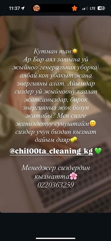 Клининг кызматтары: Бөлмөлөрдү тазалоо, | Жалпы тазалоо, | Үйлөр — 1