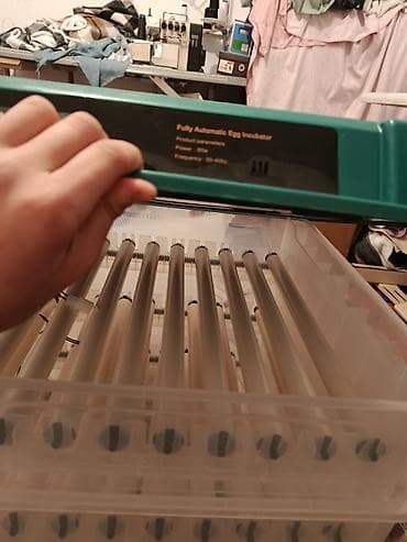 Готовый бизнес: Полностью автоматический инкубатор для яиц с цифровым управлением — 7