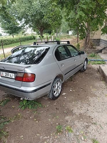 азия пелес: Nissan Primera: 1999 г., 1.6 л, Механика, Дизель, Седан — 2