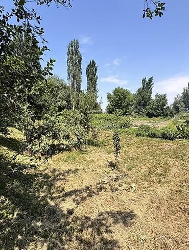 кен сай пост: 15 соток, Для бизнеса — 4