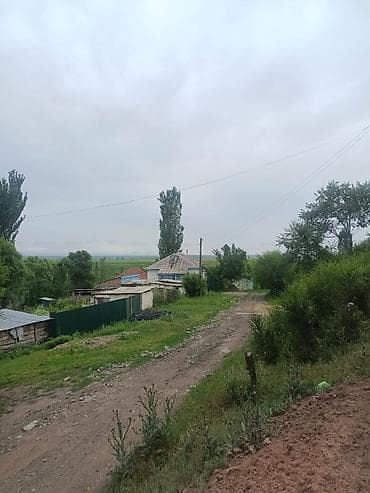 Жилой дом с придомовым участком и хозяйственными постройками. Иссык — 9