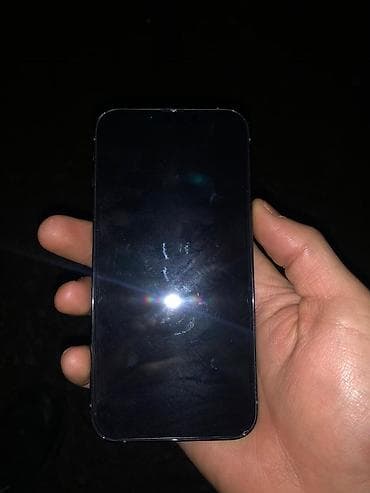 чехол на 13: IPhone 13 Pro, Sierra Blue, Защитное стекло, 77 % — 3