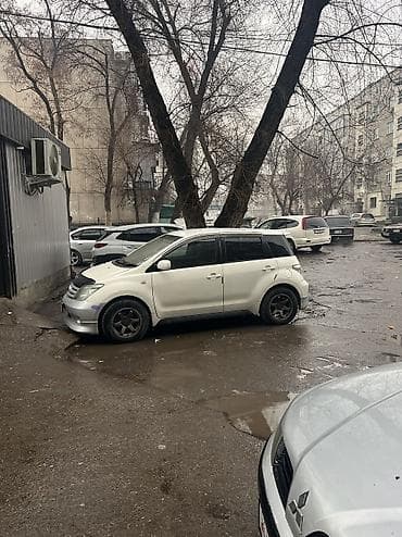 обмен транспорта: Toyota Ist: 2003 г., 1.5 л, Автомат, Бензин, Хэтчбэк — 5