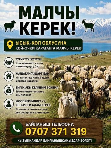 Работа: Требуется Пастух, Оплата: Сдельная, Питание — 1