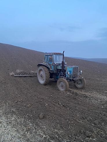 Тракторы МТЗ (Беларус): Трактор колесный МТЗ-50/80 (ориентировочно) с кабиной - Дизельный — 2