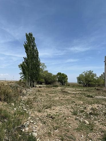 участок с джал: 200 соток — 8