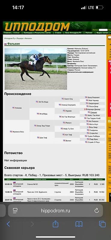рыбы в аквариум купить: Продаю | Кобыла (самка) | Английская | Для разведения | Племенные — 6