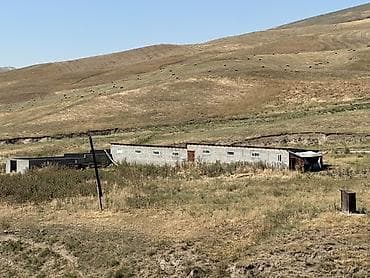 Кыймылсыз мүлк: Мүйүздүү бодо мал фермасы, 20 соток, Жарым-жартылай жабдуулары менен, Электр энергиясы — 1