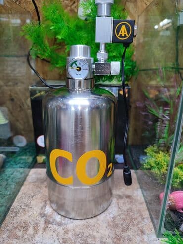 аквариумная рыбка: Универсальный CO2 для небольших аквариумов. С возможностью — 1