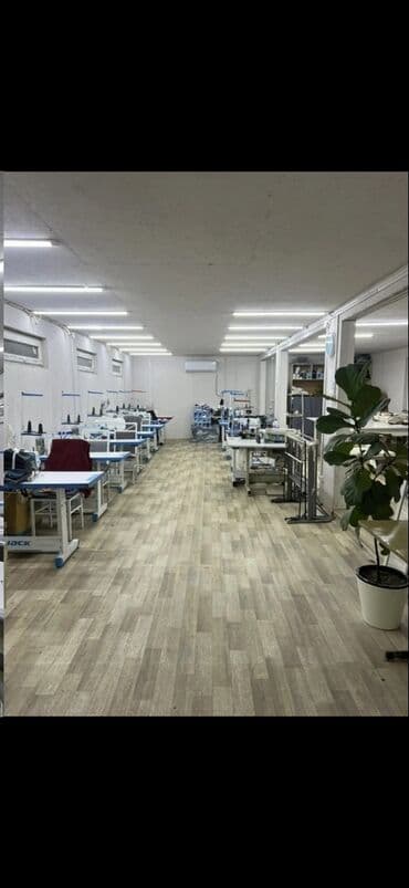 дом под швейный цех: Церковь Сдается помещение под швейный цех Площадь: 184м2 С — 5