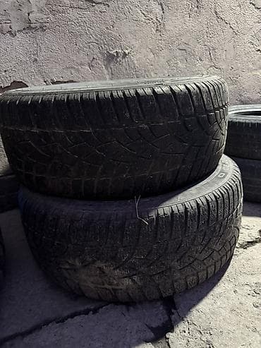 plug in: Комплект автомобильных шин Roadcruza RA1100. - Тип — 1