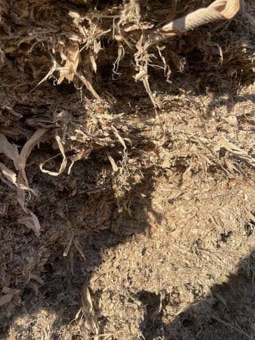 продажа кормов для сельскохозяйственных животных: Продам Силос корм для КРС 
РОССЫПЬЮ 7 СОМ ЗА КИЛОГРАММ — 5