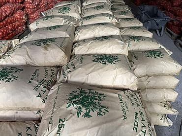 туки сена: Семена кормовых растений: Люцерна, Самовывоз — 5