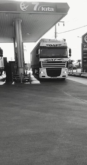 forester 2004: Тягач, DAF, 2000 г., Тентованный — 4