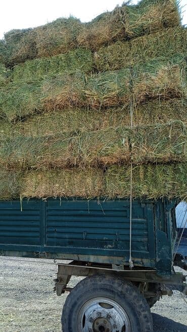 наполнитель для животных: Либой количества туки продайом саман беде чоп — 4