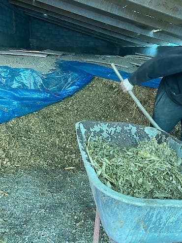 Щепа/рубленая древесная мульча Описание: - Натуральная фракция из