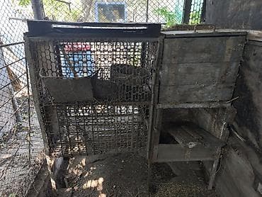 Продаю крольчатники. добротные. полностью металлические. есть двух и — 4