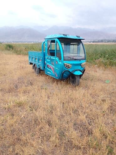 купить бу зарядное устройство для автомобильного аккумулятора: Мотороллер муравей Электро, 50 км, 600 - 999 кг, Б/у — 4
