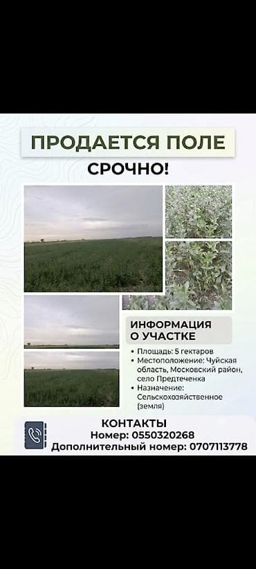 хайд парк: 500 соток, Для сельского хозяйства — 1