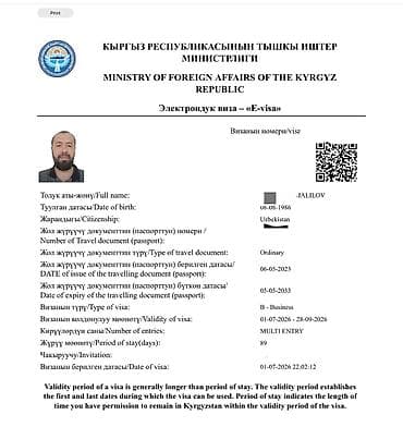 Туристтик кызматтар: Оформление электронных виз (E-visa) в Кыргызскую Республику. Что — 3