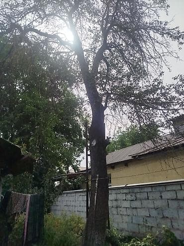 дрова мешок: Продаю на дрова — 7