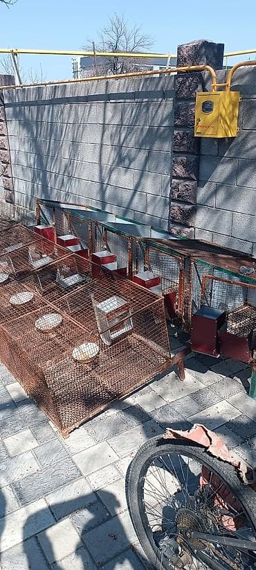 Продаю отличные клетки для кролиководов. одна на четыри самки с