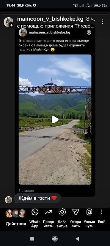 chico: Приглашаем Вас к нам в гости.Палатки, тишина, покой и чистый воздух — 2