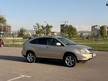 дверь на голф 3: Lexus RX: 2004 г., 3.3 л, Автомат, Бензин, Кроссовер — 5