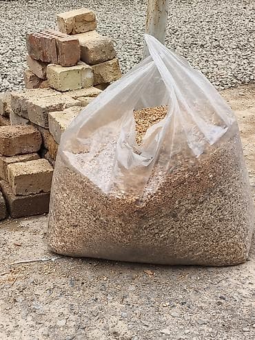 каракол животное: Кошачий наполнитель — 3