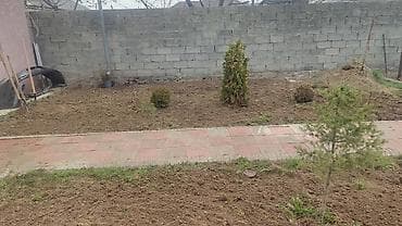 Стирка ковров: Уборка территории, Уборка двора и сада — 5