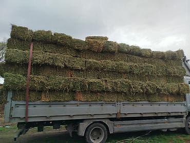 жаныбарлар: Сено в тюках (малые прямоугольные) — луговое/злаково-бобовое — 3