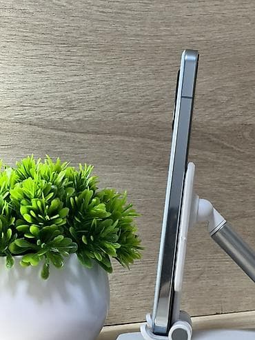 x2 pro: Xiaomi, 13, 256 ГБ — 6