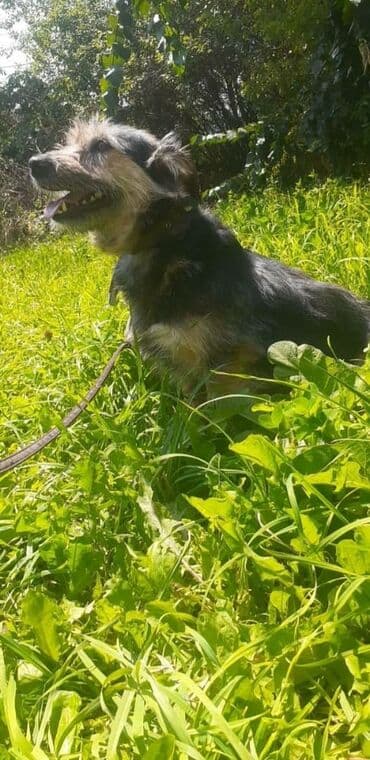 казакча той ырлары 2020 скачать: Чудесный мальчик Кузя ждёт своих мам и пап . Добрый активный мальчик — 5