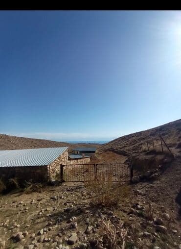 меняю на скот: Продается действующий бизнес кашар вместе с садом для разведения скота — 3