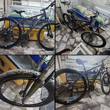 twitter predator pro 29: Городской велосипед, Рама M (156 - 178 см), Б/у — 1