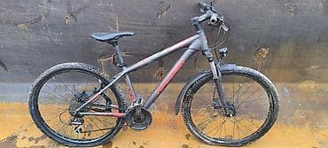 odyssey absolute: Raleigh Daymax – горный велосипед 29" - Рама: алюминиевая, геометрия — 2