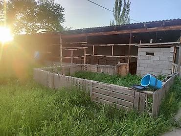 срочно сатам акча керек: Продаю дом,район ГЭС-5,10 комнат,участок 6,5 соток, ГЭС -5 — 3