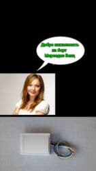 GPS трекерлер: Голосовой модуль для авто. Будет говорить с женским голосом и — 2