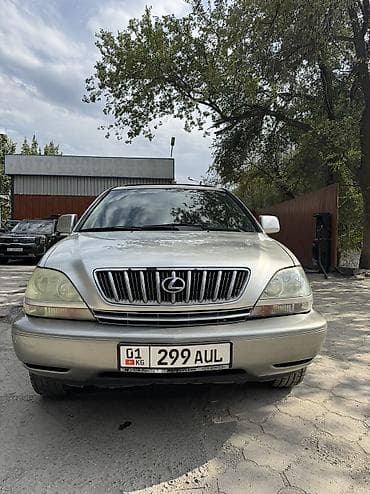 rx 2006: Lexus RX: 2002 г., 3 л, Газ, Кроссовер — 4