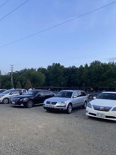 transporter multivan: Volkswagen Passat: 2001 г., Механика, Дизель, Универсал — 5