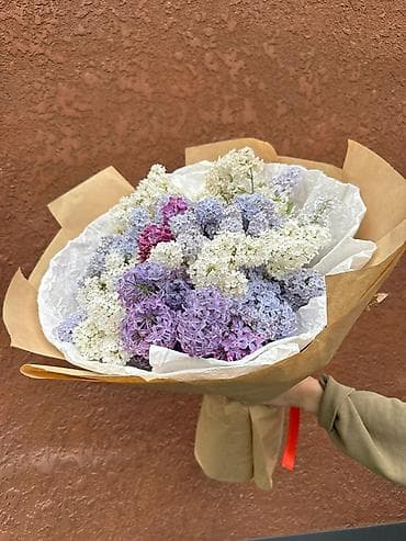 букет сирень: Букет из сирени дешево по 20 800 1000 БЫСТРО И ДЕШЕВО ПИШИТЕ ЗВОНИТЕ — 3