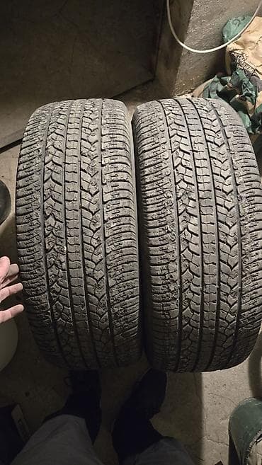 шины 245 55 r19: Шины 245 / 55 / R 19, Всесезонная, Пара, Внедорожные (АТ/МТ), GoodYear — 1