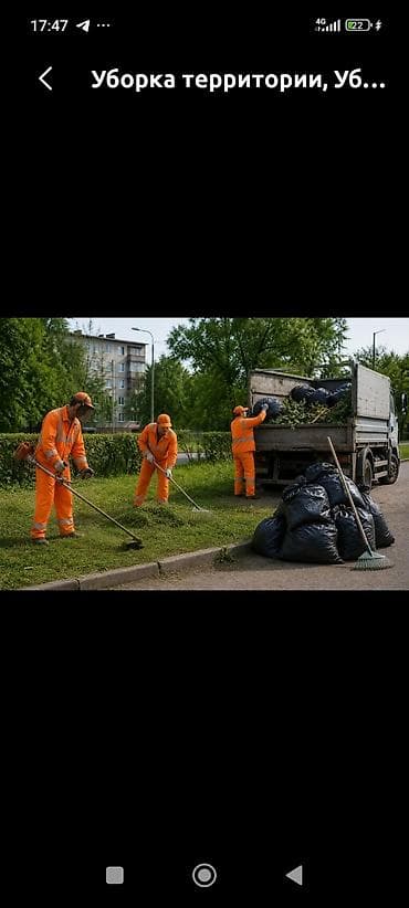 Уборка территории, Уборка двора и сада — 1