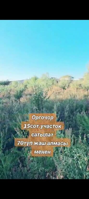 участок дом село кок жар: 15 соток, Для строительства, Красная книга — 2