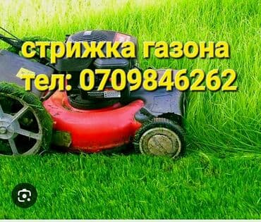 частный роддом бишкек цены: Стрижка газона Газон чабабыз Все районы Арча-Бешик Акордо Акоргө — 1