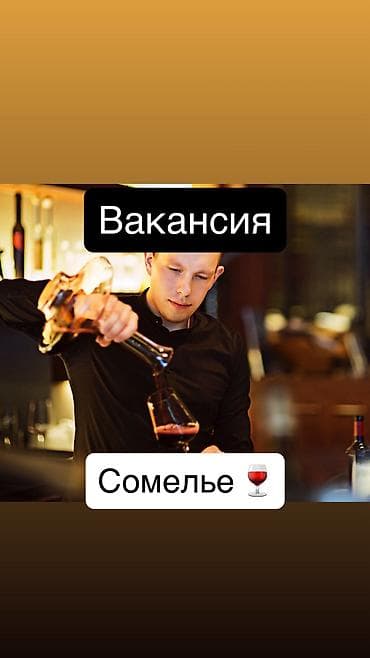 грузчик на склад с ежедневной оплатой: Сомелье. Без опыта — 1