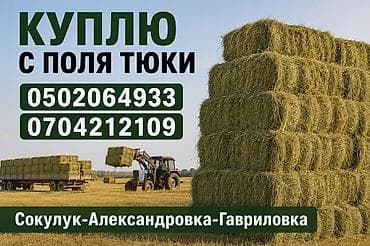 Покупка тюков сена прямо с поля. Ищу тюки для закупки с полей