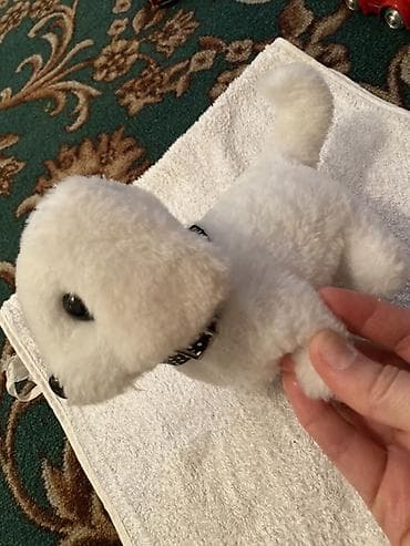 Набор детских игрушек: - Мягкая плюшевая собачка белого цвета с at lalafo.kg Набор детских игрушек: - Мягкая плюшевая собачка белого цвета с