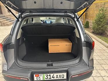 roidmi 4s: BYD : 2025 г., Электромобиль, Кроссовер — 2